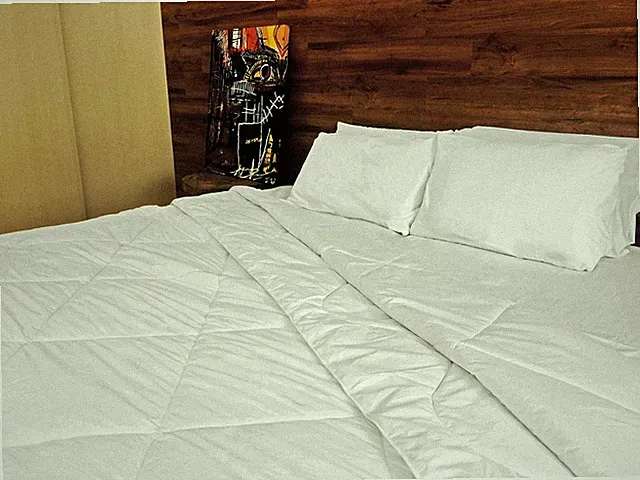 Down Alternative Duvet Comforter 100% Peruvian Alpaca Wool Fill - All-Season...